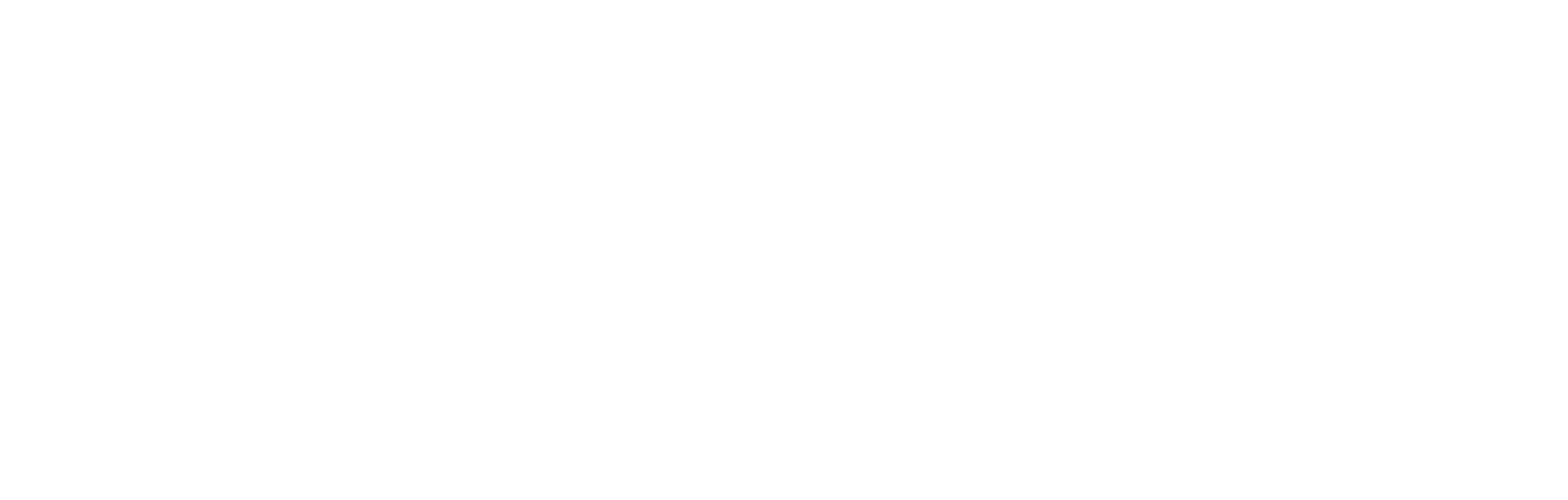 Digital Delivers